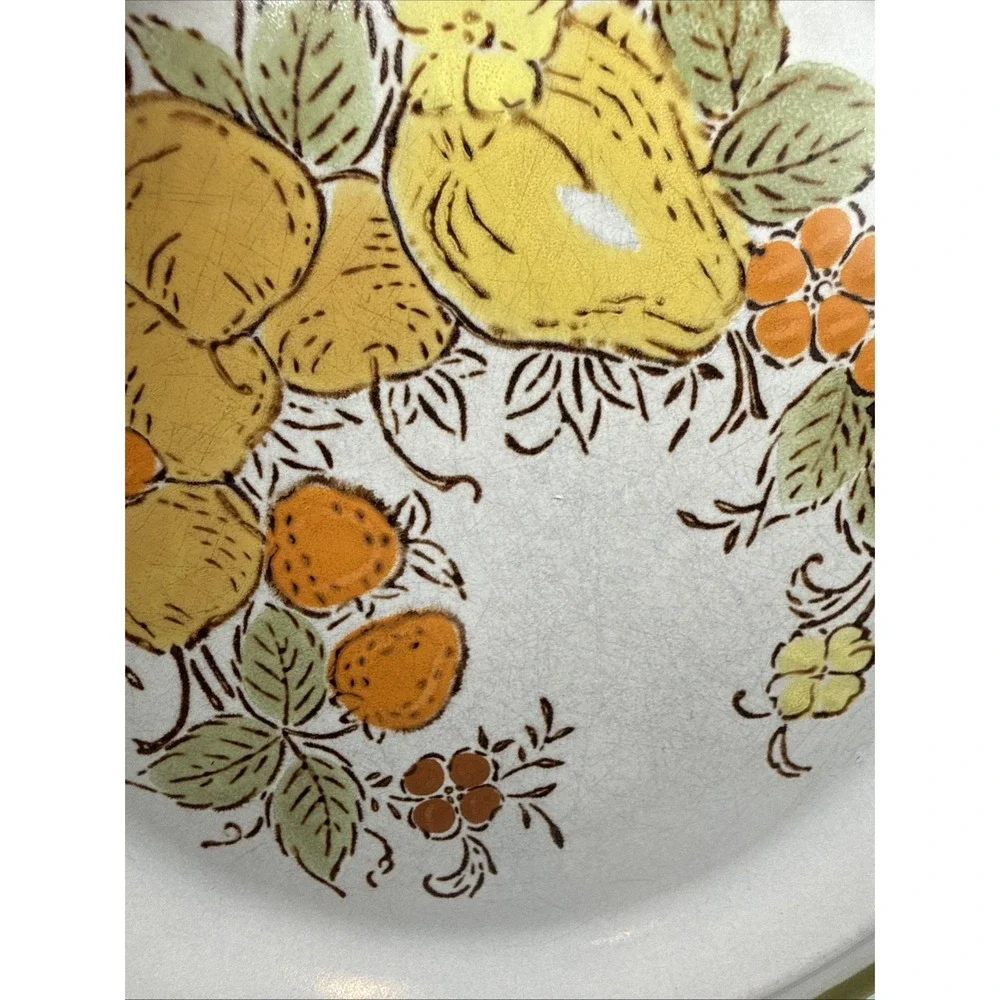 Vtg Harvest Collection Stoneware 'Valley Fruits' Set of 6 Dinner Plates, 10.75
